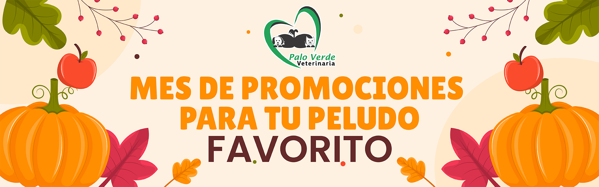 PROMOCIONES
